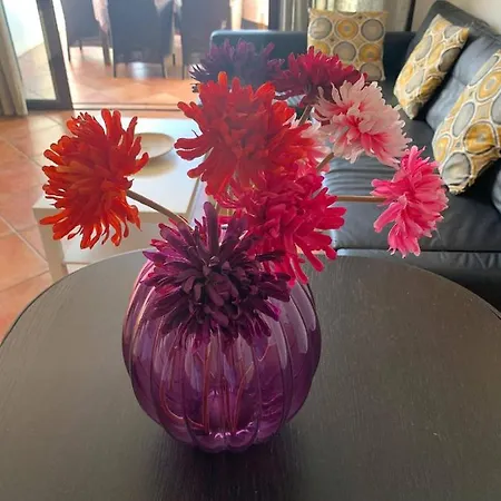 Adeje Paradise En Playa Paraiso *